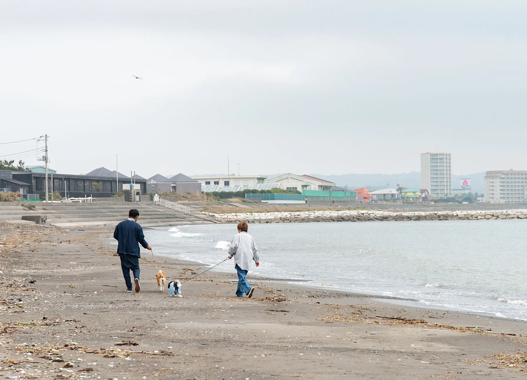 ペットを連れて徒歩1分の那古海岸へ散歩へ