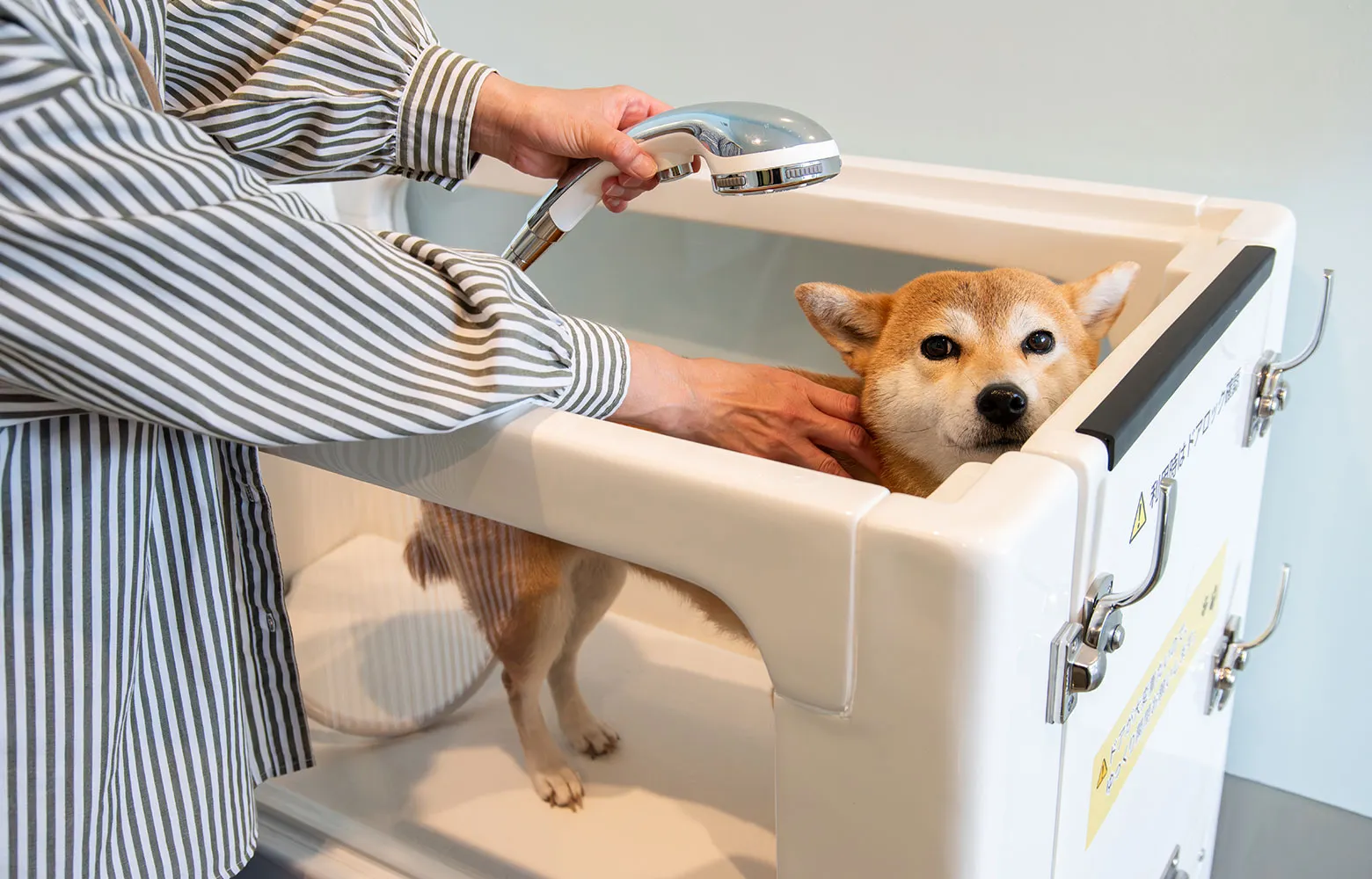 小型犬から大型犬まで使えるマイクロバブル付きペット用バスタブ