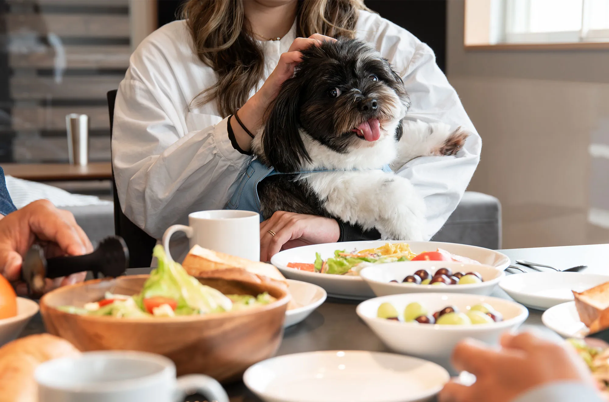 愛犬と一緒に過ごせるダイニング