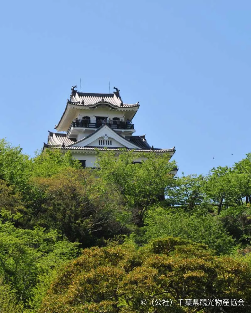 館山城・城山公園